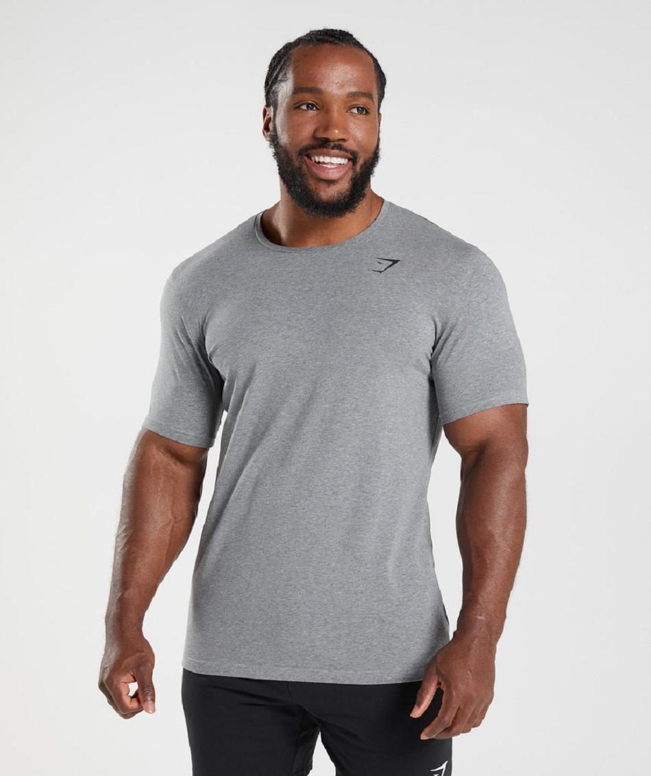 T Shirts Męskie Gymshark Essential Szare | PL 3822DFM